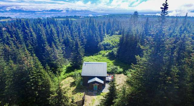 Photo of 41237 Heather St, Homer, AK 99603