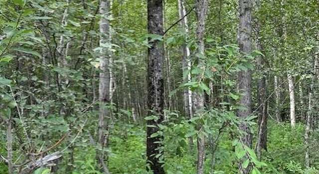 Photo of 3674 N Grey Wolf Dr, Wasilla, AK 99654