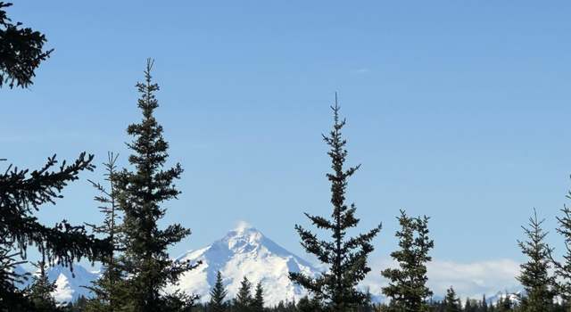 Photo of 25904 Pepper Rd, Anchor Point, AK 99556
