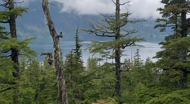 Photo of L20 Patent Pl, Tatitlek, AK 99677