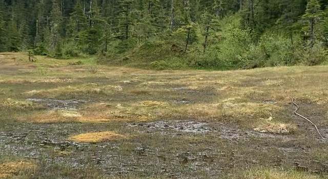 Photo of L21 Patent Pl, Tatitlek, AK 99677