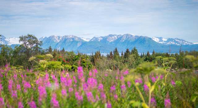 Photo of L8 B3 Glenn Rd, Homer, AK 99603