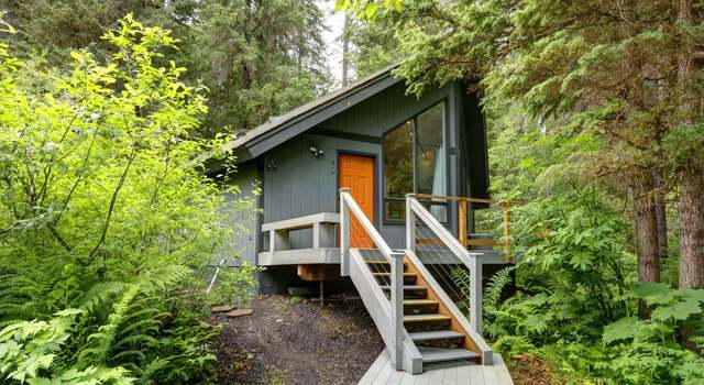 Photo of 140 Birdhouse Loop #5, Girdwood, AK 99587