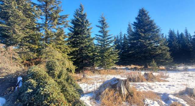 Photo of 17466 Chefornak St, Ninilchik, AK 99639