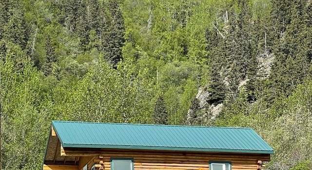 Photo of L4-5 Hawkins, Chitina, AK 99566