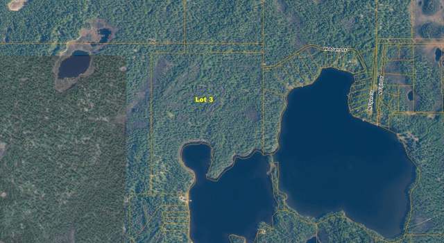 Photo of Lt 3 Delyndia Lake (No Road), Willow, AK 99688