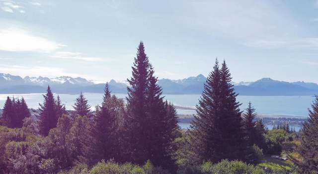 Photo of 580 Fireweed Ave, Homer, AK 99603
