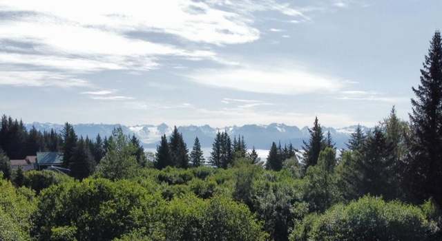 Photo of 560 Fireweed Ave, Homer, AK 99603