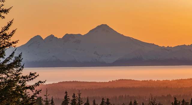 Photo of 40561 Misty Ridge Rd, Homer, AK 99603