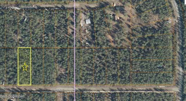 Photo of 20007 E Tackle Ave, Willow, AK 99688