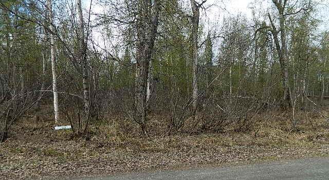 Photo of 19117 W Blue Goose Dr, Wasilla, AK 99654