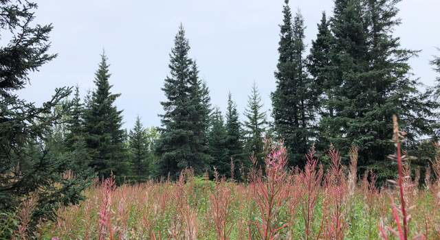 Photo of W3 Alaskan Wildwood Ranch(r), Nikolaevsk, AK 99556