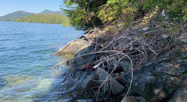 Photo of L8 B2 Gem Cove Area, George Inlt, Ketchikan, AK 99901