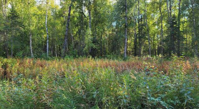 Photo of 14500 N Susitna Landing Rd, Willow, AK 99688
