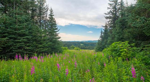 Photo of NKA Skyline Dr, Homer, AK 99603