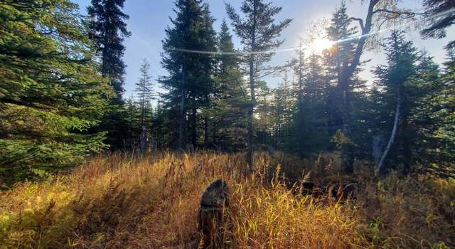 Photo of 67050 Homestead Rd, Ninilchik, AK 99639
