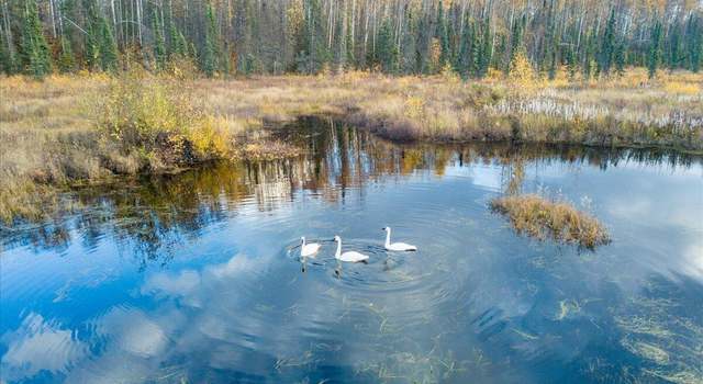 Photo of 24631 E Breesway Dr, Willow, AK 99688