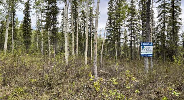 Photo of ASLS 79-251, Glennallen, AK 99588