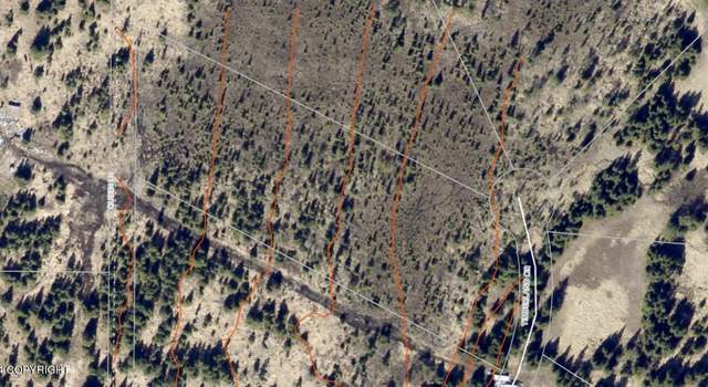 Photo of W6 Alaskan Wildwood Ranch(r), Nikolaevsk, AK 99556