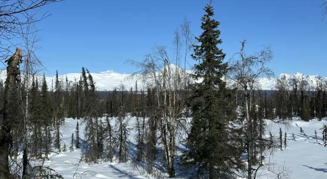 Photo of NHN SAFARI LK ASLS 80-188 B11 L3-1, Trapper Creek, AK 99683