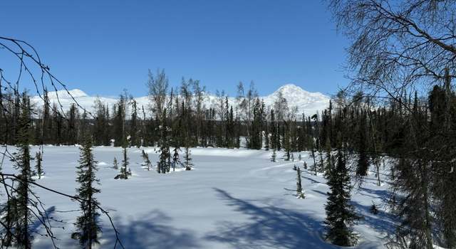 Photo of NHN SAFARI LK ASLS 80-188 B11 L5-1, Trapper Creek, AK 99683