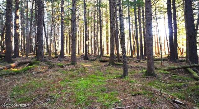 Photo of 000 Alder Ct, Haines, AK 99827