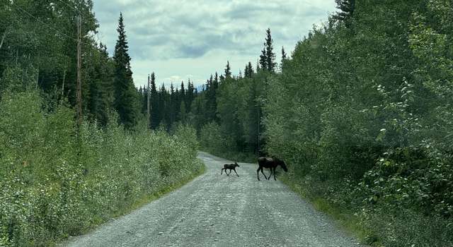 Photo of Lot 25 Wrangell Dr, Copper Center, AK 99573