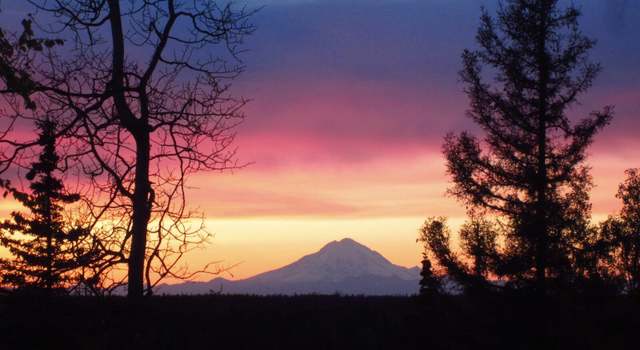 Photo of 25005 Arctic Fox Rd, Kasilof, AK 99610