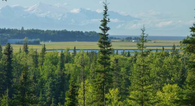 Photo of 25006 Silver Fox Dr, Kasilof, AK 99610