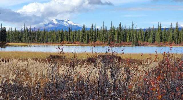 Photo of 49696 S Millennium Loop, Chickaloon, AK 99674
