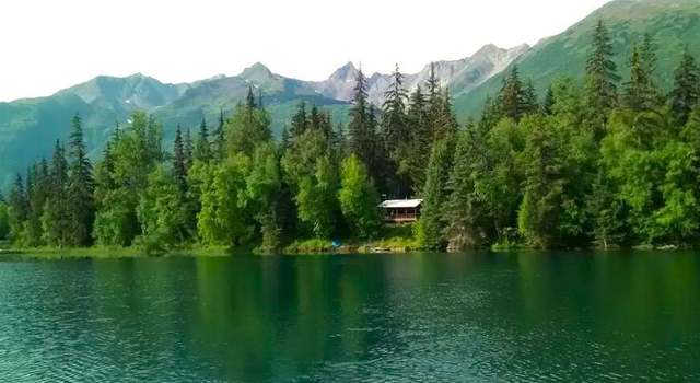Photo of L 11 Birch Island Chilkat Lk, Haines, AK 99827