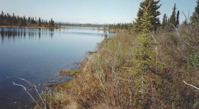 Photo of 000 Lake Louise Rd, AK 99588