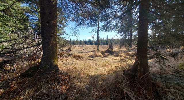 Photo of 24740 Plumb Ln, Anchor Point, AK 99556