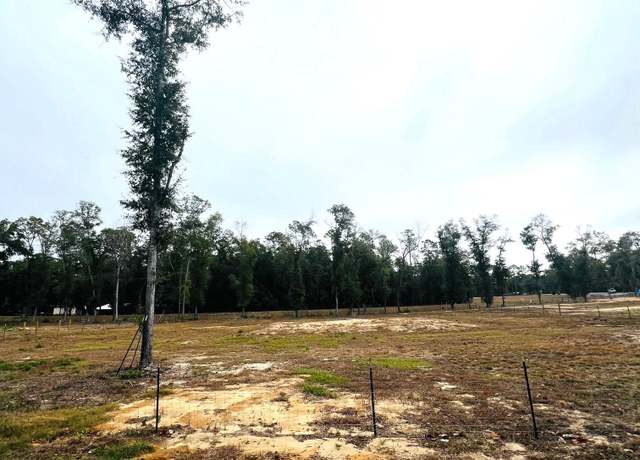 Property at xxx New Market Rd, Hosford, FL 32334