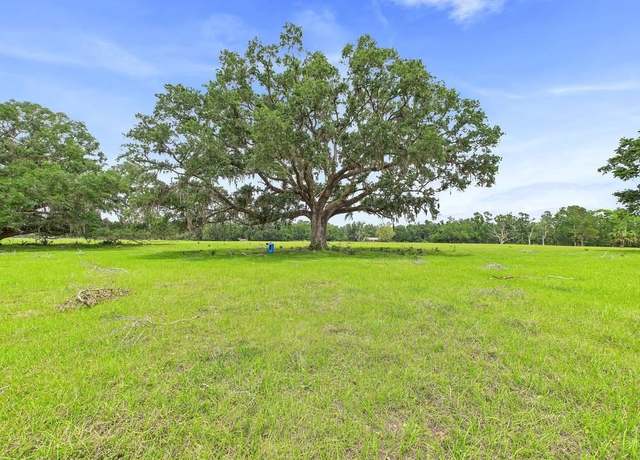Property at Vacant Woods Creek Rd, Perry, FL 32347