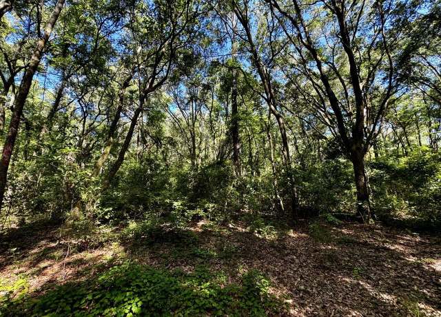Property at 00 NW Little Cat Rd, Madison, FL 32340