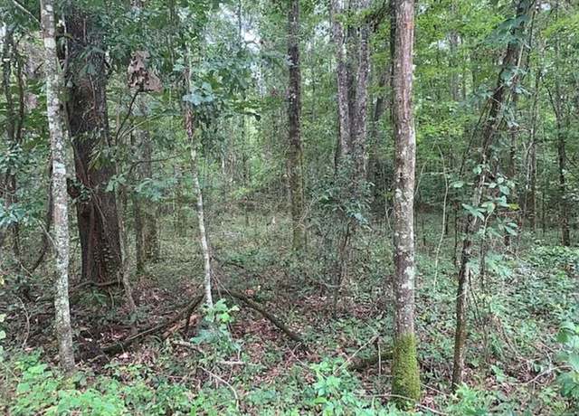 Property at 0 Tung Grove Rd, Tallahassee, FL 32317