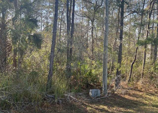 Property at XX Burnt Pine Loop, St Marks, FL 32355