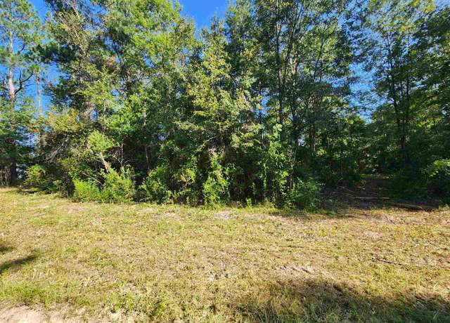 Property at 15189 NW Lake Mystic Church Rd, Bristol, FL 32321