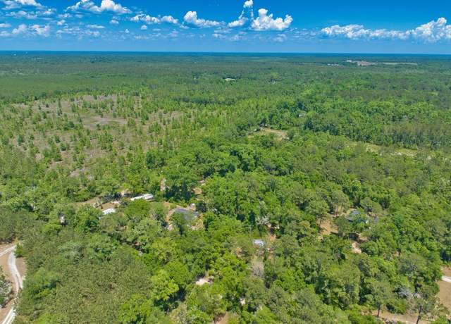 Property at 0 Donaldson Williams Rd, Crawfordville, FL 32327