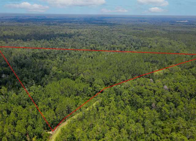 Property at Lot 115 SW Pier Rd, Greenville, FL 32331