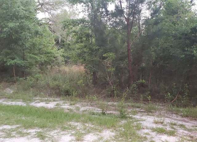 Property at XXXX Mcphaul Rd, Crawfordville, FL 32327