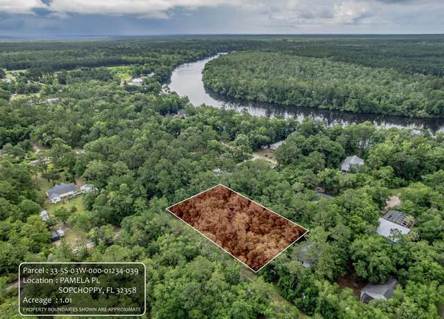 Property at XX Pamela Pl, Sopchoppy, FL 32358