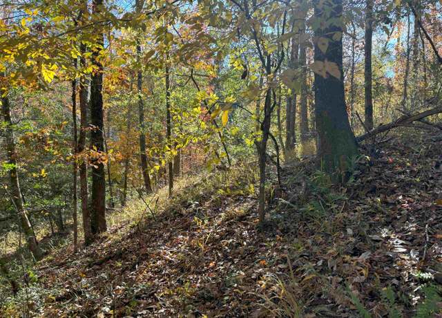 Property at 0 Little Sycamore Church Rd, Chattahoochee, FL 32324