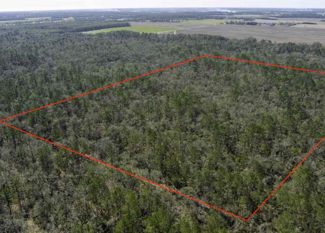Property at 000 NW Cr 292, Mayo, FL 32066