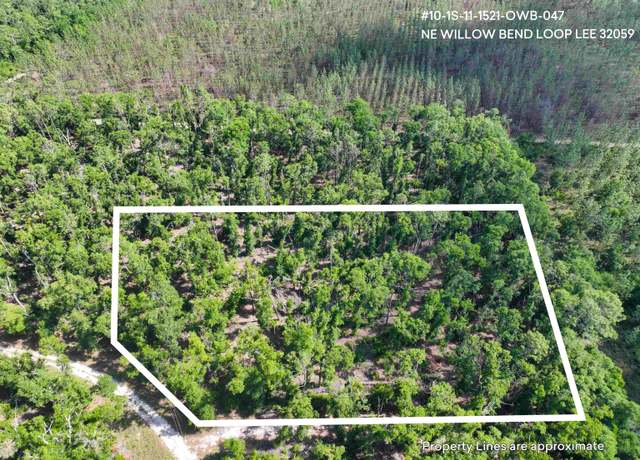 Property at 000 NE Willow Bend Loop, Lee, Fl 32059, Lee, FL 32059