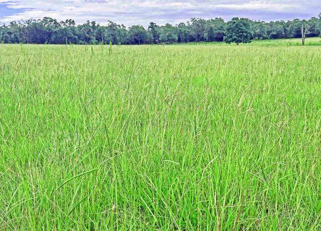 Property at TBD St Augustine Rd Parcel #1, Monticello, FL 32344