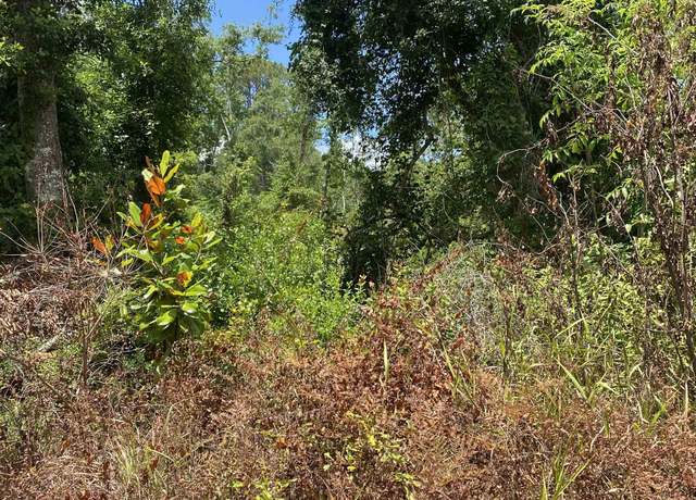 Property at SW Main St, Greenville, FL 32331