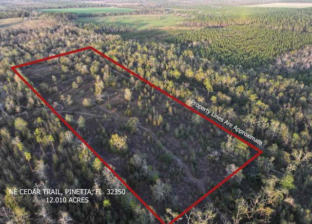 Property at Vacant NE Cedar Trl, Pinetta, FL 32350