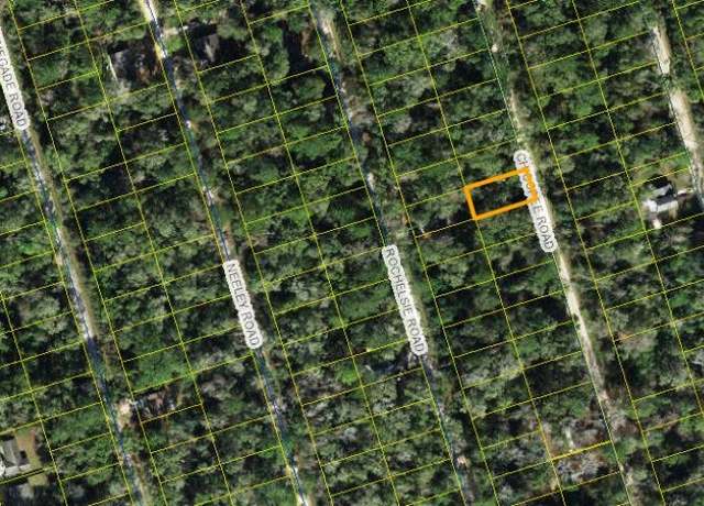 Property at x Chicopee Rd, Crawfordville, FL 32327
